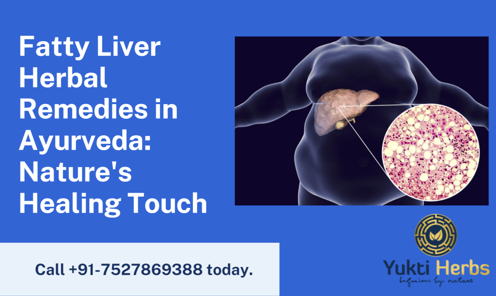 Fatty Liver Herbal Remedies in Ayurveda Nature’s Healing Touch
